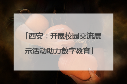西安：开展校园交流展示活动助力数字教育