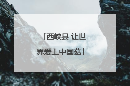 西峡县 让世界爱上中国菇