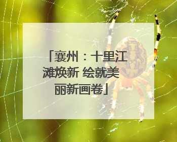 襄州：十里江滩焕新 绘就美丽新画卷