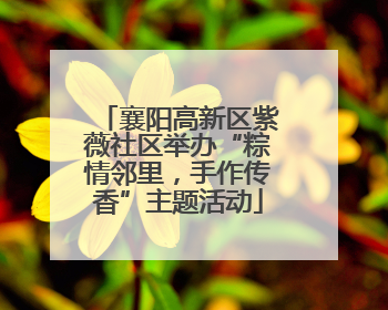 襄阳高新区紫薇社区举办“粽情邻里，手作传香”主题活动