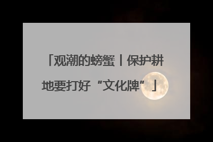 观潮的螃蟹丨保护耕地要打好“文化牌”