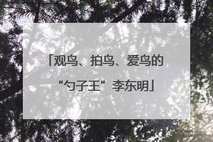 观鸟、拍鸟、爱鸟的“勺子王”李东明