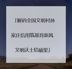 解码全国文明村孙家庄信用筑基育新风文明沃土结硕果