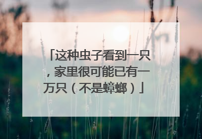 这种虫子看到一只，家里很可能已有一万只（不是蟑螂）