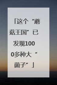 这个“蘑菇王国”已发现1000多种大“菌子”