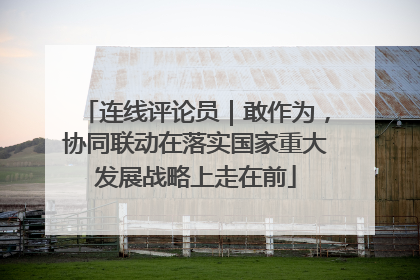连线评论员｜敢作为，协同联动在落实国家重大发展战略上走在前