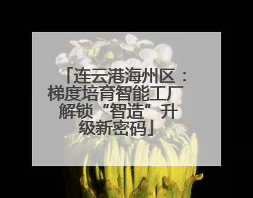 连云港海州区：梯度培育智能工厂 解锁“智造”升级新密码