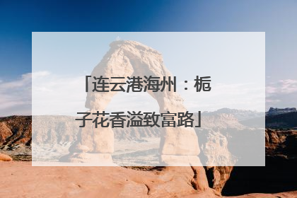 连云港海州：栀子花香溢致富路