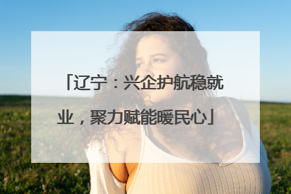 辽宁：兴企护航稳就业，聚力赋能暖民心