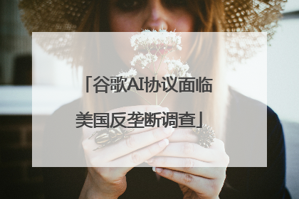 谷歌AI协议面临美国反垄断调查