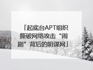 起底台APT组织 撕破网络攻击“闹剧”背后的阴谋网