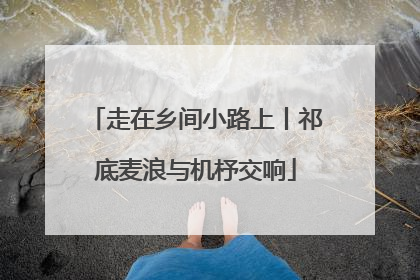 走在乡间小路上丨祁底麦浪与机杼交响