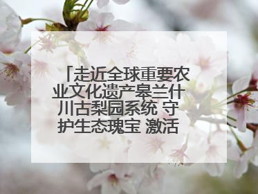 走近全球重要农业文化遗产皋兰什川古梨园系统 守护生态瑰宝 激活发展动能
