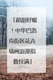 超甜好暖！中华巴洛克街区花卉墙画浪漫指数拉满