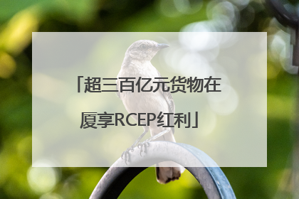 超三百亿元货物在厦享RCEP红利