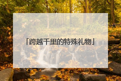 跨越千里的特殊礼物