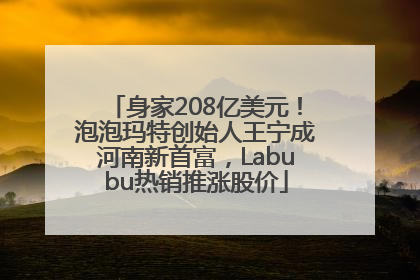 身家208亿美元！泡泡玛特创始人王宁成河南新首富，Labubu热销推涨股价