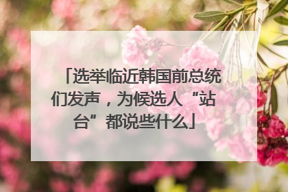 选举临近韩国前总统们发声，为候选人“站台”都说些什么