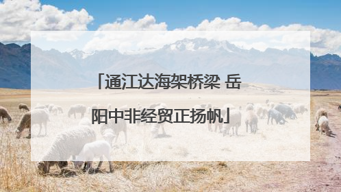 通江达海架桥梁 岳阳中非经贸正扬帆