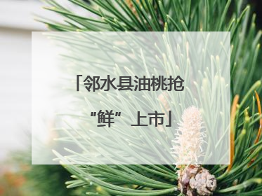 邻水县油桃抢“鲜”上市