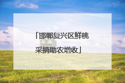 邯郸复兴区鲜桃采摘助农增收