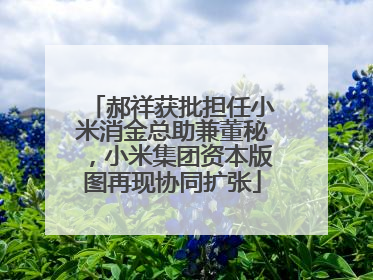 郝祥获批担任小米消金总助兼董秘，小米集团资本版图再现协同扩张