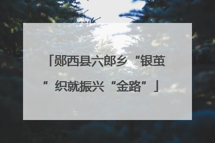 郧西县六郎乡“银茧”织就振兴“金路”