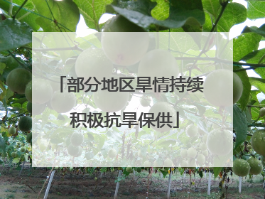 部分地区旱情持续 积极抗旱保供