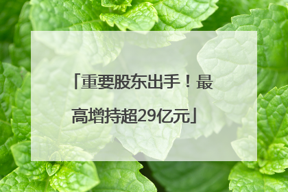 重要股东出手！最高增持超29亿元