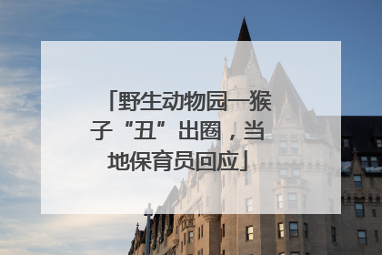野生动物园一猴子“丑”出圈，当地保育员回应