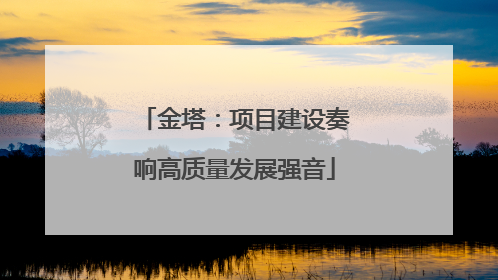 金塔：项目建设奏响高质量发展强音