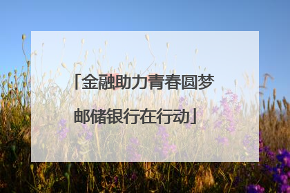 金融助力青春圆梦邮储银行在行动