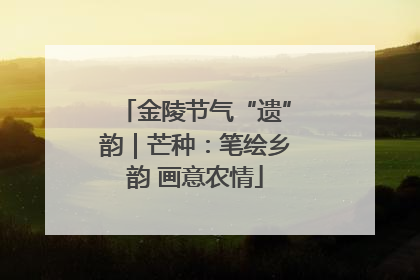 金陵节气“遗”韵｜芒种：笔绘乡韵 画意农情