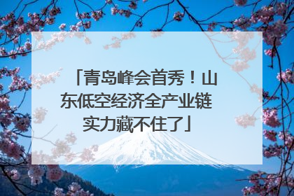 青岛峰会首秀！山东低空经济全产业链实力藏不住了