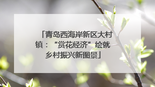 青岛西海岸新区大村镇：“赏花经济”绘就乡村振兴新图景