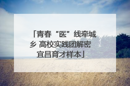 青春“医”线牵城乡 高校实践团解密宜昌育才样本