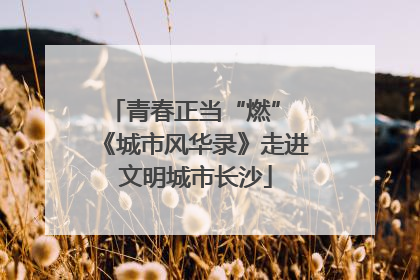 青春正当“燃” 《城市风华录》走进文明城市长沙