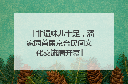 非遗味儿十足，潘家园首届京台民间文化交流周开幕