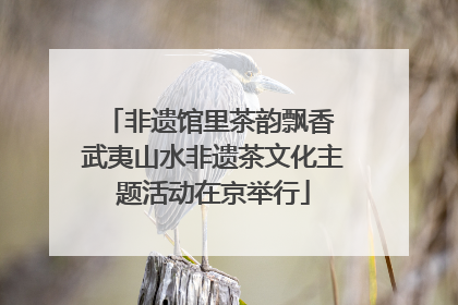 非遗馆里茶韵飘香 武夷山水非遗茶文化主题活动在京举行