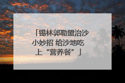 锡林郭勒盟治沙小妙招 给沙地吃上“营养餐”