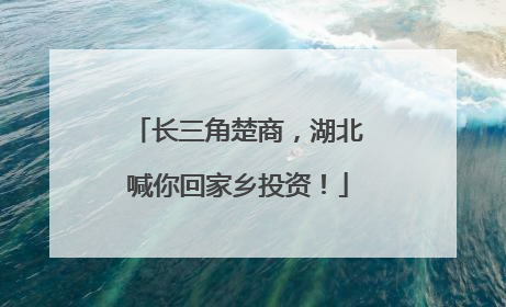 长三角楚商，湖北喊你回家乡投资！