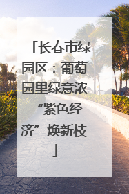 长春市绿园区：葡萄园里绿意浓 “紫色经济”焕新枝