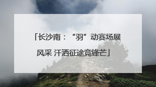 长沙南：“羽”动赛场展风采 汗洒征途竞锋芒