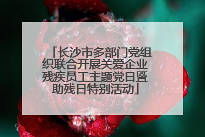 长沙市多部门党组织联合开展关爱企业残疾员工主题党日暨助残日特别活动