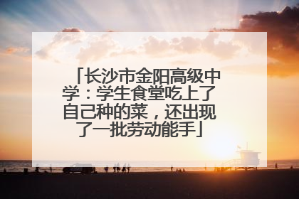 长沙市金阳高级中学：学生食堂吃上了自己种的菜，还出现了一批劳动能手