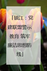 镇江：党建联盟警示教育 筑牢廉洁思想防线