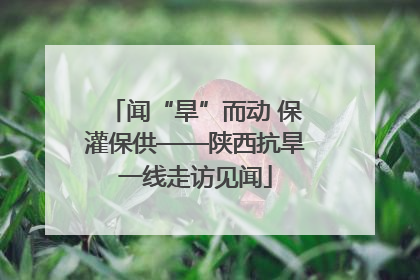 闻“旱”而动 保灌保供——陕西抗旱一线走访见闻