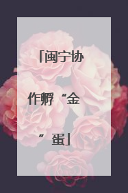 闽宁协作孵“金”蛋