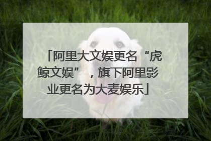 阿里大文娱更名“虎鲸文娱”，旗下阿里影业更名为大麦娱乐