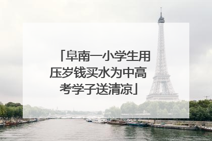 阜南一小学生用压岁钱买水为中高考学子送清凉